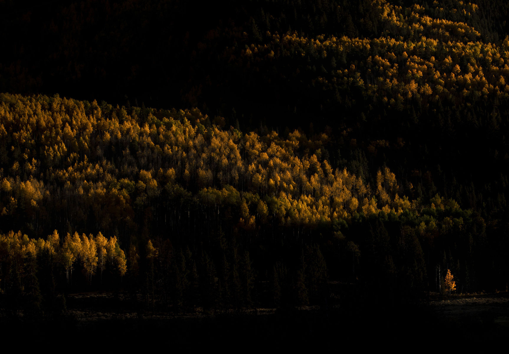 100219-news-fallcolors 02